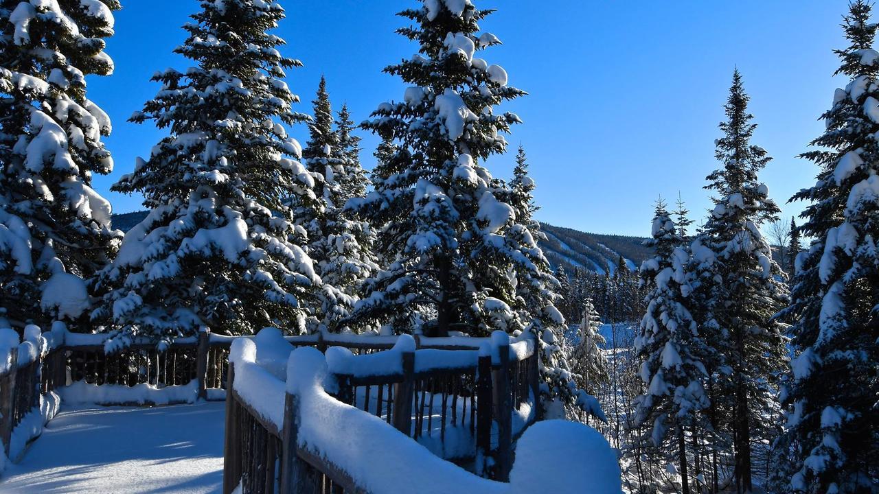 Le Bivouac - Les Chalets Spa Canada La Malbaie Bagian luar foto