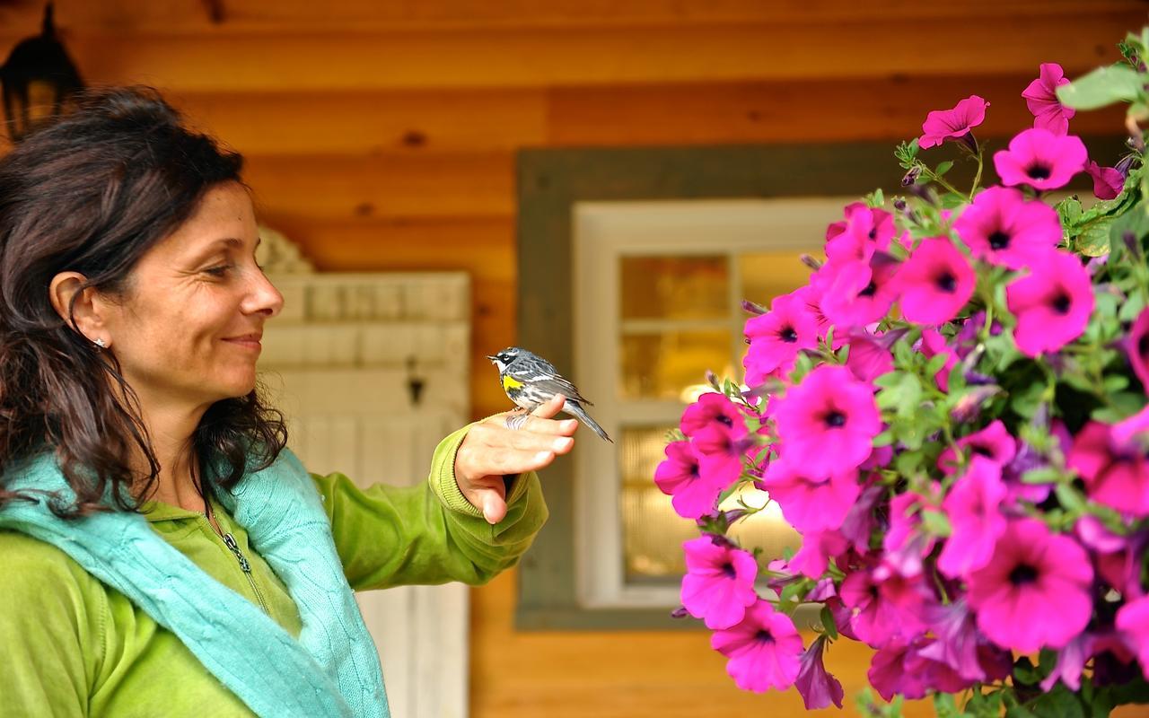 Le Bivouac - Les Chalets Spa Canada La Malbaie Bagian luar foto